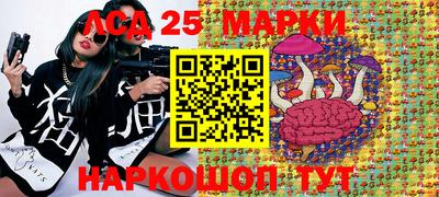 гидропоника Заводоуковск