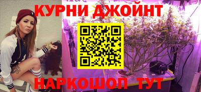 индика Жуковский