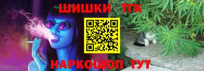 индика Жуковский
