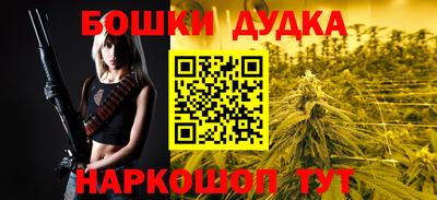 индика Жуковский