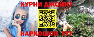 индика Жуковский