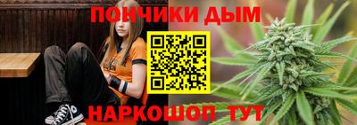 индика Жуковский