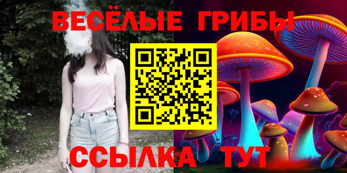 Галлюциногенные грибы Psilocybe Салехард