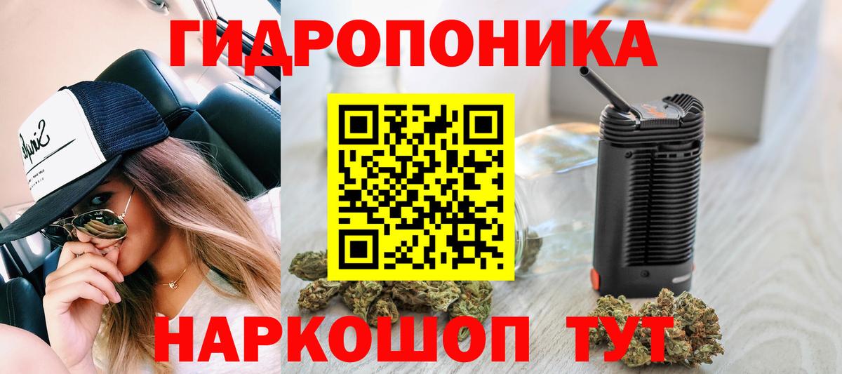 Салехард  Бошки марихуана Bruce Banner  Вход с VPN  МАРИХУАНА тримм 